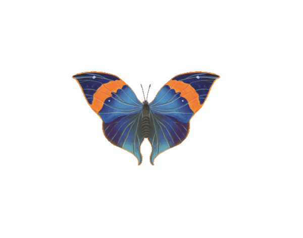 【森林之寶】龍銀山步道－枯葉蝶