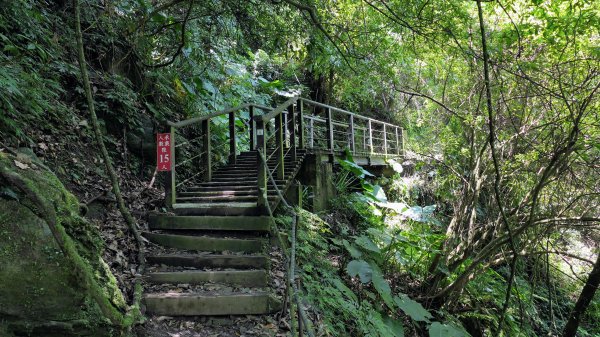 福山部落,內洞森遊區2552426
