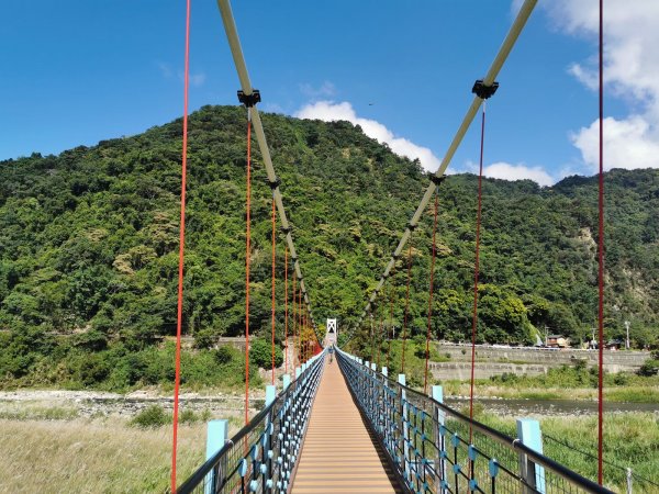 白毛、馬崙山-崇敬的巨木-五葉松媽媽1085787