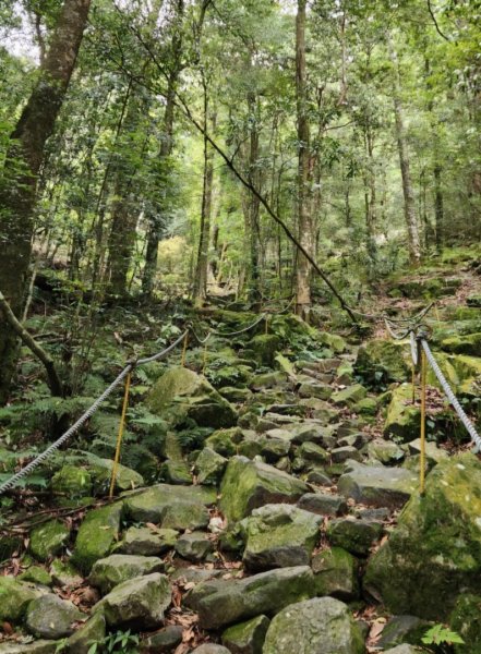 【中級山縱走】最美中級山，鳶嘴西稜縱走（鳶嘴山，醜崠山，長壽山）2741389
