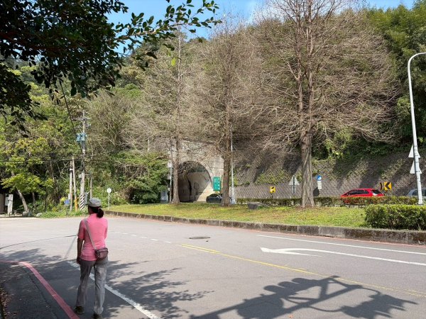 桃園 大溪 頭寮山3004507