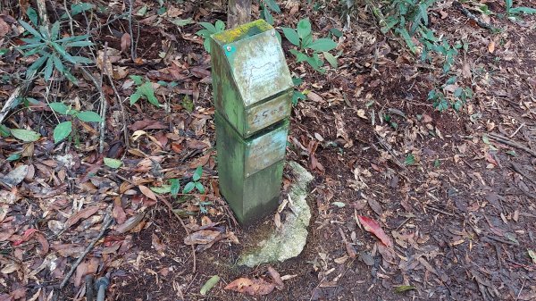 水社大山水社主峰新年二部曲1598812