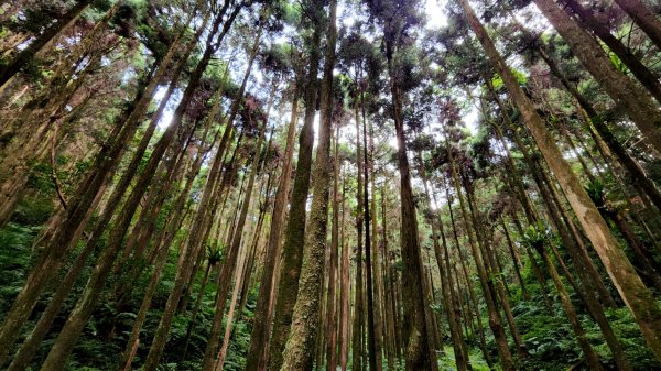 三峽五寮尖山，桃園金平山，三民蝙蝠洞，觀音洞步道，基國派教堂，八德埤塘生態公園，中庄吊橋1798236