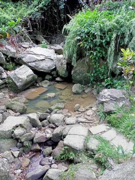 【臺北大縱走 4】大溝溪園區→鯉魚山小人國步道→圓覺寺步道1428001