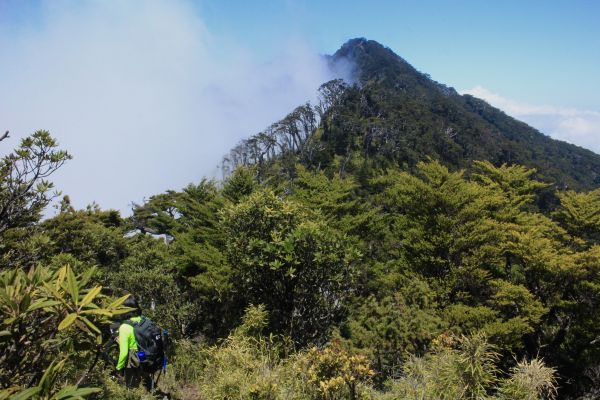 作伙來去北大武304404