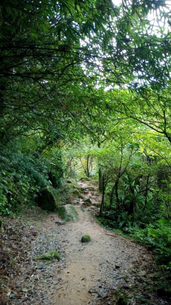 三貂嶺瀑布群峰1934324