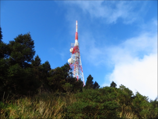 小觀音山氣象站戰備道路口(大屯山鞍部附近) - 狗群擾民