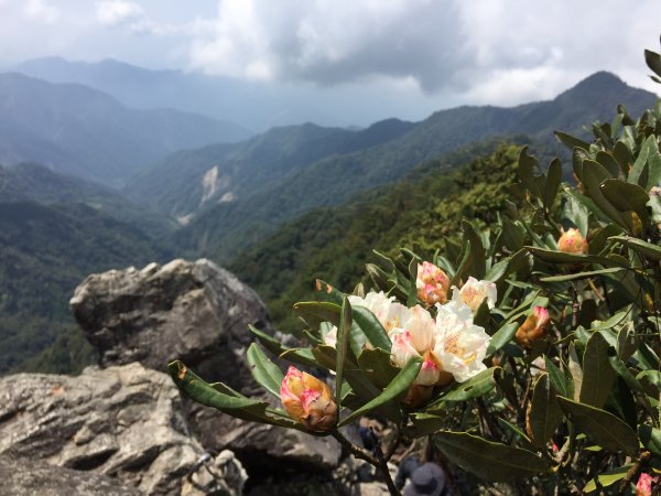 20210410台中鳶嘴山稍來山縱走1348417