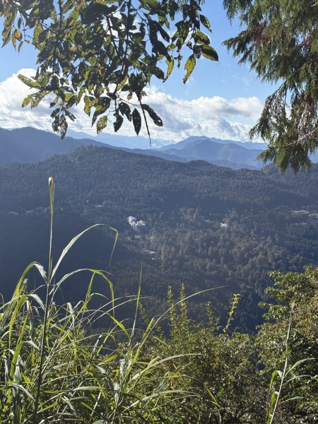 20251225塔山步道(大塔山)2970381