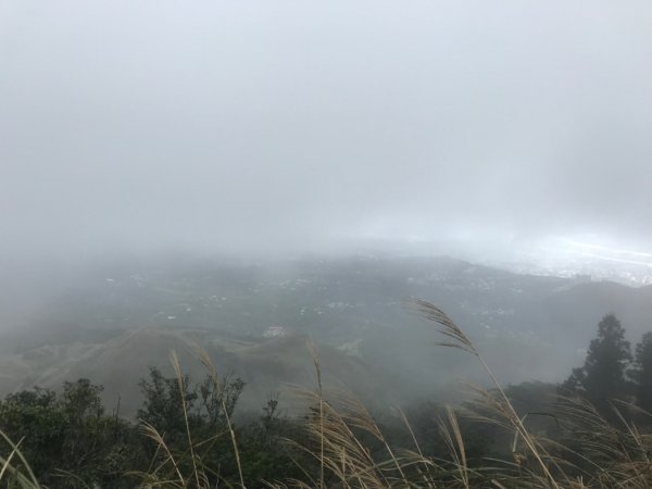 七星山劍潭山雙⛰️一日1073362