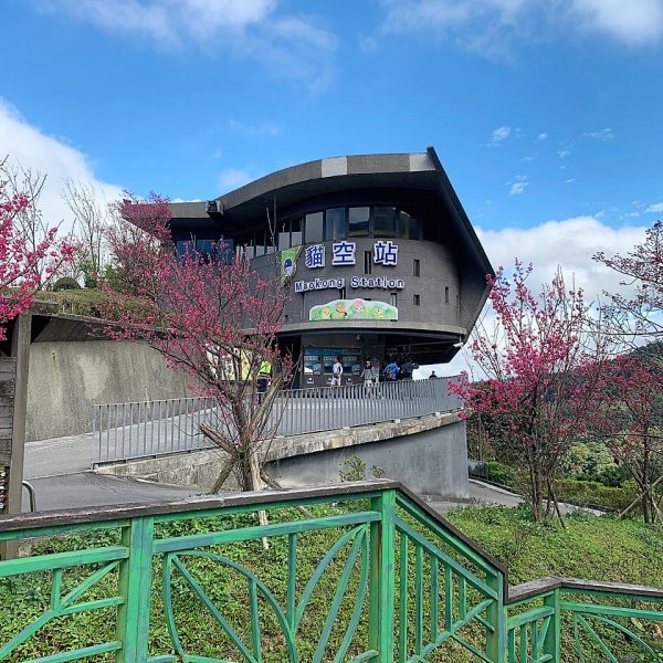 飛龍步道-樟山寺-樟樹步道