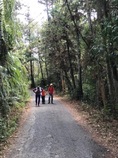 日月潭輕鬆撿小百岳502844