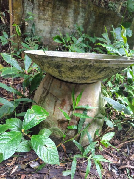 鳳鳴古道 鳳鳴山 南隘勇（南長城）古道 三湖山 八達嶺（龍骨）古道 綠色古道 延平古道2975325