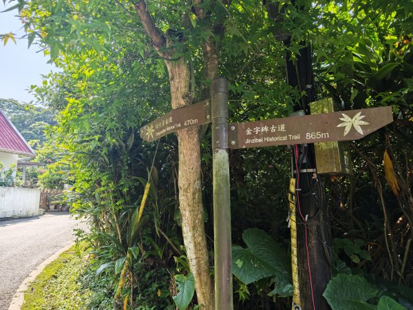 [淡蘭古道] 2026_0502 北路第一段_燦光寮古道3047532