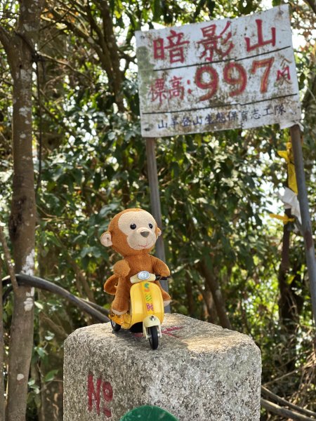 暗影山 西北稜上 南稜下 接仙女瀑布1317865