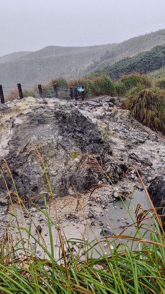 20251019 苗圃-七星山-小油坑2921126