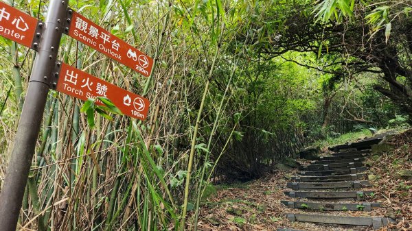 八里牛港稜山，林稍步道，泰山崎頭古道，義學坑步道，明志書院，林口頂福巖森林步道（林口森林步道）1873579