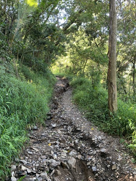 20250809高雄尾寮山(第21刷)2857308