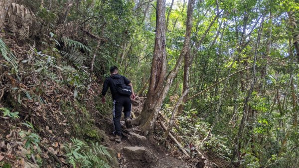 蝴蝶谷瀑布步道｜唐麻丹山登山步道 (松鶴部落上)1900089