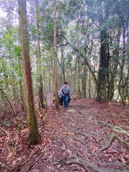 大雪山線 屋我尾山/谷關七雄#3 慢慢遊3063429