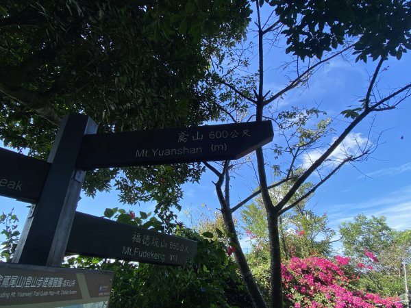 2025微笑山線大縱走尋寶集章任務-Ep.03【鳶山山系】鳶山彩壁段2893654