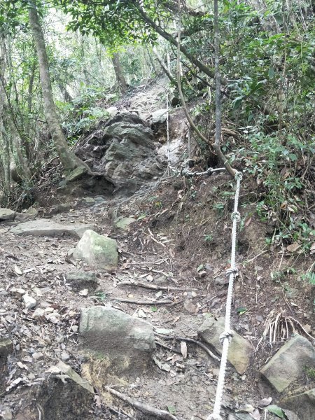 步道巡訪員 l 白毛山步道8月巡訪日誌1060989