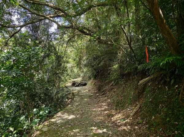 [淡蘭古道] 2026_0531 北路第四段_金字碑古道(上)-牡丹段3071007