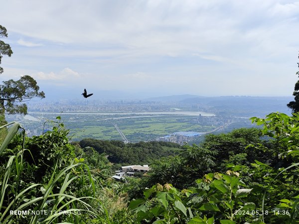 【臺北大縱走 1 第二回合】二子坪遊客服務站→捷運關渡站2506251