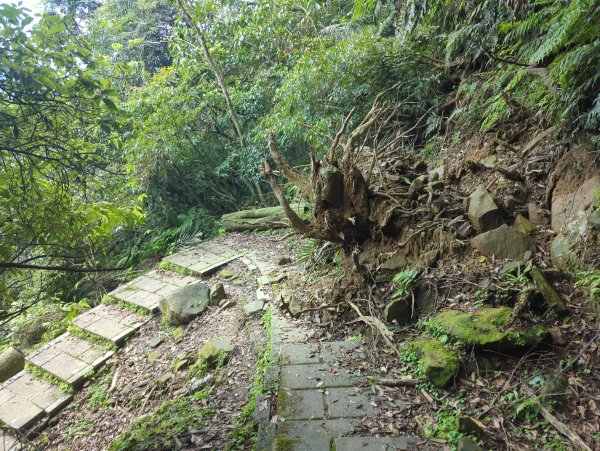 2026.03.14－微笑山線：【五分山系】3015445