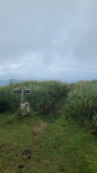 2023-0930冷水坑_絹絲瀑布步道_上切竹篙山_內寮古道2299418