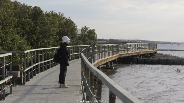 《彰化》海空夕照｜王功燈塔及芳苑海空步道健行賞冬候鳥202601102980330