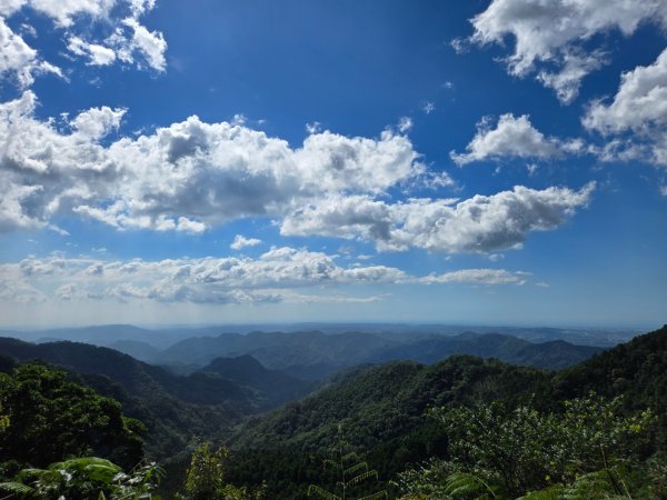 馬武督探索森林、外鳥嘴山2860639
