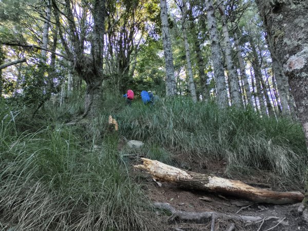 北一段(02/14)多加屯前峰2025_0906~132885118