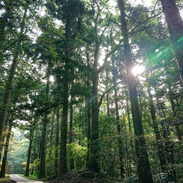 東眼山-拉卡山O型950446