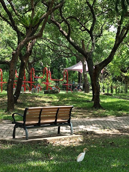 大港墘公園、大安森林公園、大稻埕、天母【走路趣尋寶】【臺北健走趣】2554253