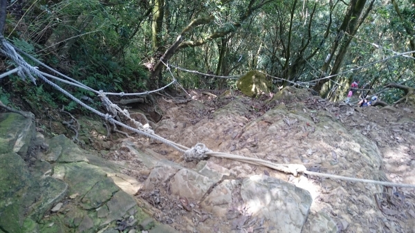 仙山登山步道41002