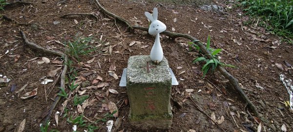 藤坪+猿山+六寮古道 O型-2026/07/263091200