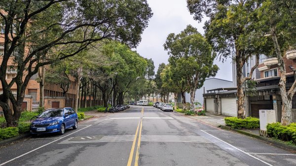 老公崎步道,新林步道2443941