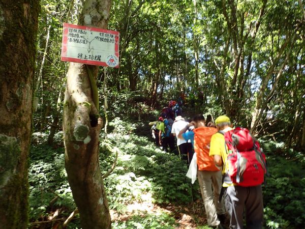 桃園復興區 低陸山 (鐵立庫山)157416