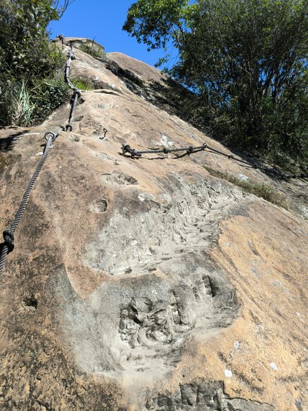 20251004微笑山線：【二格山系】筆架連峰段2904516