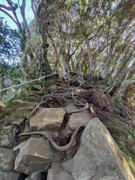 高島縱走-新竹縣尖石鄉2413342