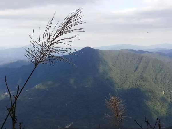 拔刀爾山,美鹿山,美鹿山南峰,高腰山815970