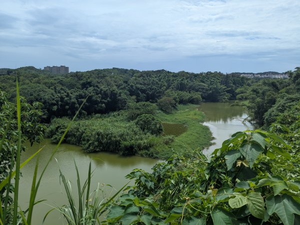 2025.08.03－青草湖環湖步道2850479