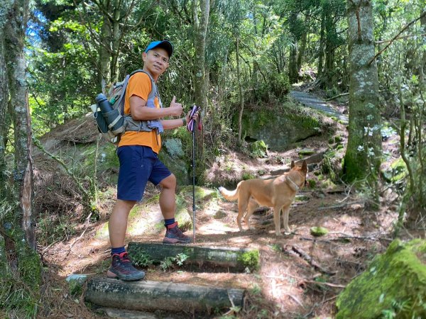 東埔山+東埔大草原步道【這裡的夏天冷颼颼】2826524