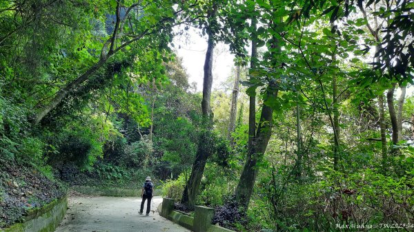 《台中》郊山飆汗｜潭子新田登山步道上聚興山O繞202510042904448