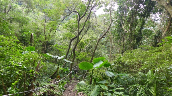 凌雲禪寺 -尖山-大峭壁-駱駝嶺-硬漢嶺25982