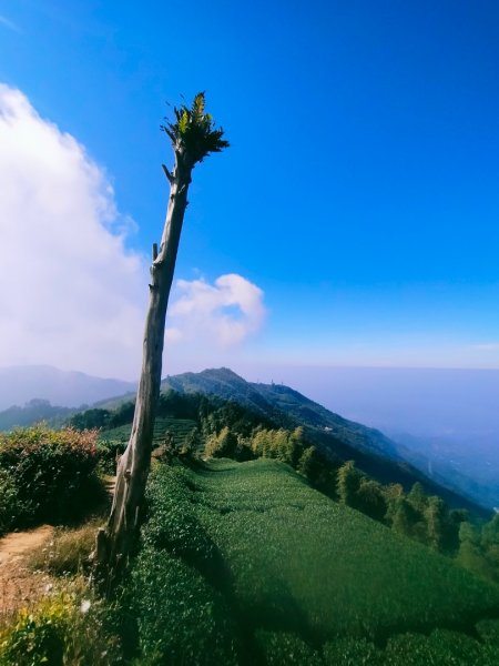雲嘉連峰2365701
