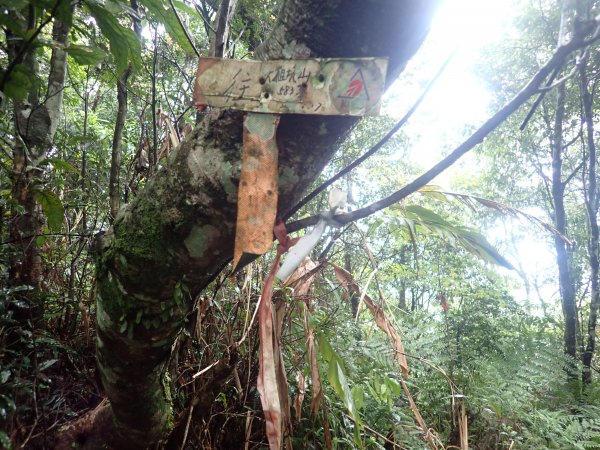 2022-04-01　天氣陣雨，翡翠坑山探索1660640