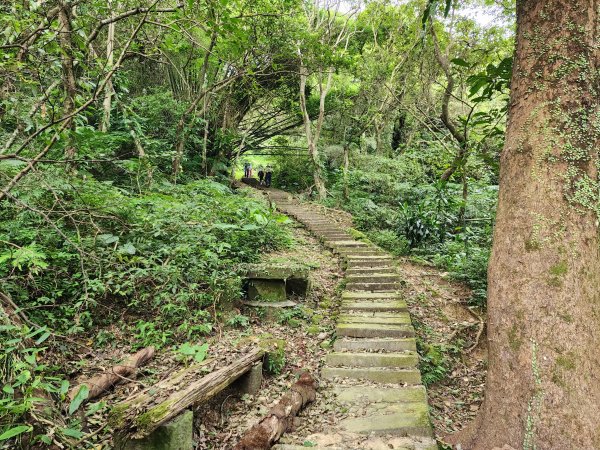 小百岳No.14⛰天上山2827775