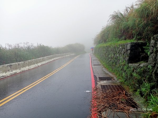 百拉卡公路人車分道、環七星山人車分道百拉卡公路入口站至冷水坑段、大港墘公園【走遍陽明山、健康大穀東】2307540